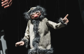 18 al 25/10 | En trànsit: cicle de titelles migratòries