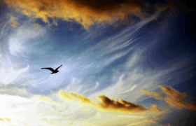 4 al 29/11 | «Siluetes» —exposició de Jordi Campos