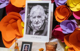 5 al 23/10 | Votació popular per dedicar l’altar de morts